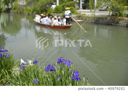 柳川市風景下坡河虹膜 柳川市風景下坡河虹膜 40979281