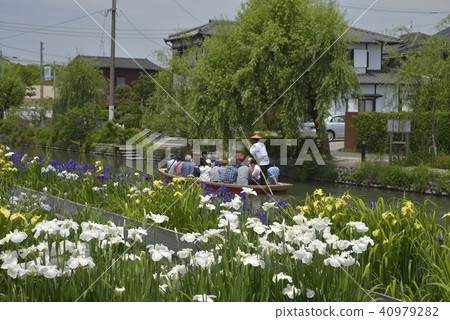 柳川市風景下坡河虹膜 柳川市風景下坡河虹膜 40979282