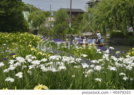 柳川市風景下坡河虹膜 柳川市風景下坡河虹膜 40979283