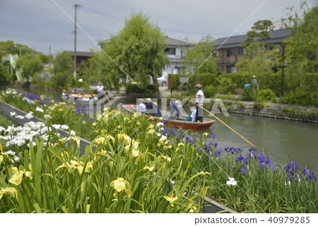 柳川市風景下坡河虹膜 柳川市風景下坡河虹膜 40979285