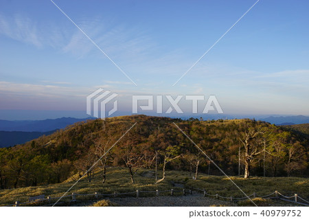 Morning of Otagichihara Morning of Otagichihara 40979752