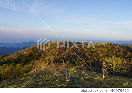 Otagichihara的早晨 40979753