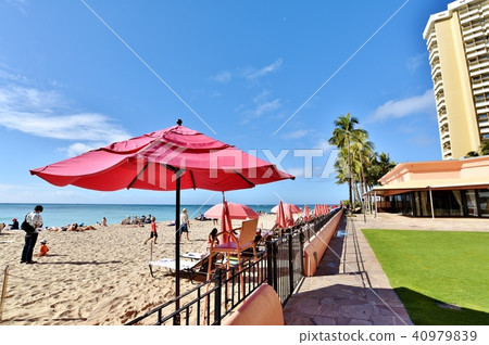 Holidays in Hawaii 40979839