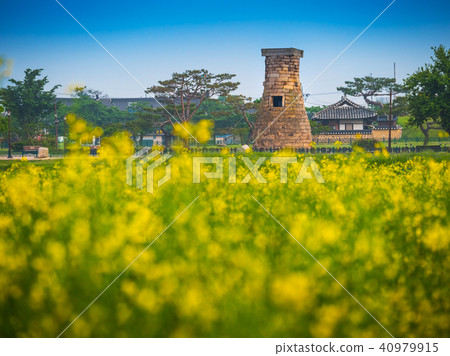 Cheomseongdae observatory in Gyeongju, Korea 40979915