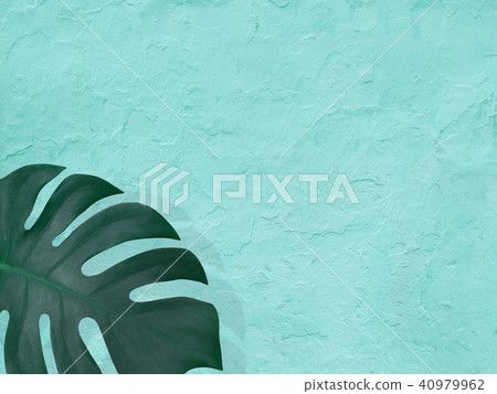 Background - Plants - Blue 40979962