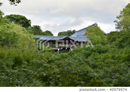 東福寺通天橋 東福寺通天橋 40979974