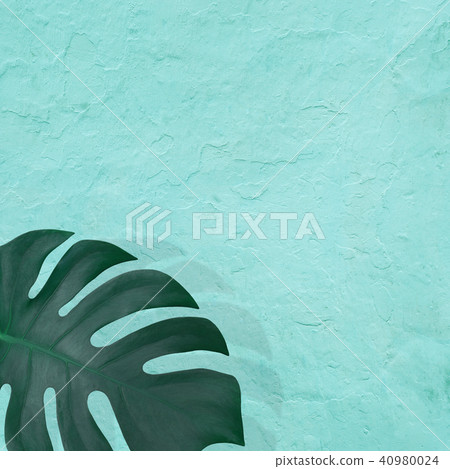 Background - Plants - Blue 40980024