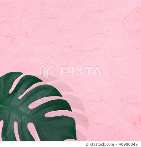 Background - Plants - Pink Background - Plants - Pink 40980049
