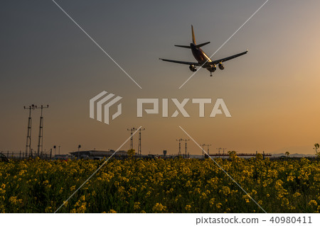 仙台機場黃昏強姦花田著陸班機油菜花＆仙台機場 40980411