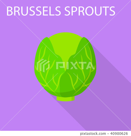 Brussels sprouts icon, flat style 40980626