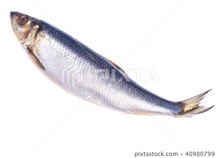Herring salted, isolated on white background Herring salted, isolated on white background 40980799