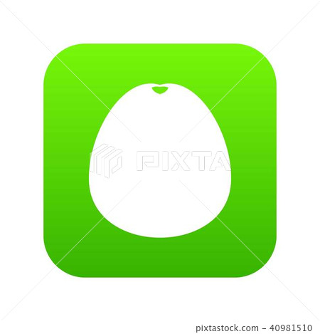 Pomelo icon digital green Pomelo icon digital green 40981510