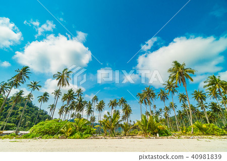 Beautiful nature tropical beach and sea with coconut palm tree on paradise island Beautiful nature tropical beach and sea with coconut palm tree on paradise island 40981839