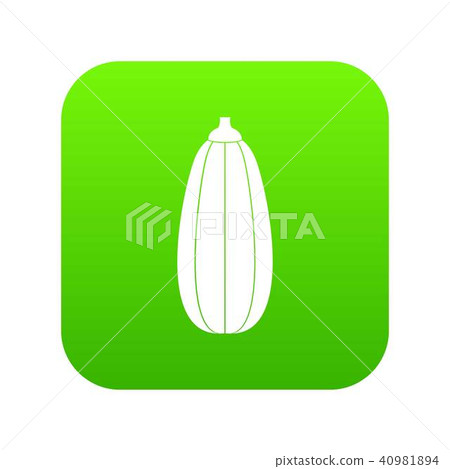 Zucchini vegetable icon digital green 40981894