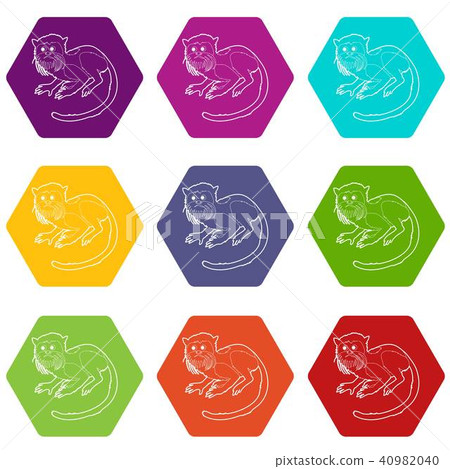 Imperial tamarin icons set 9 vector 40982040