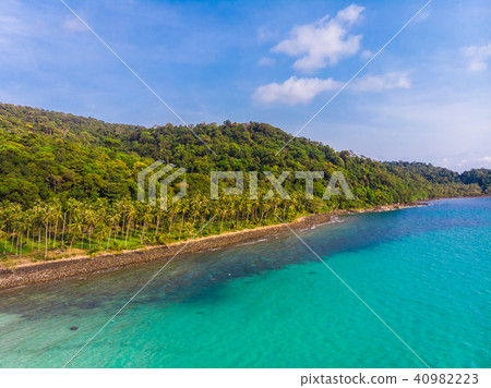 Beautiful Aerial view of beach and sea with coconut palm tree Beautiful Aerial view of beach and sea with coconut palm tree 40982223