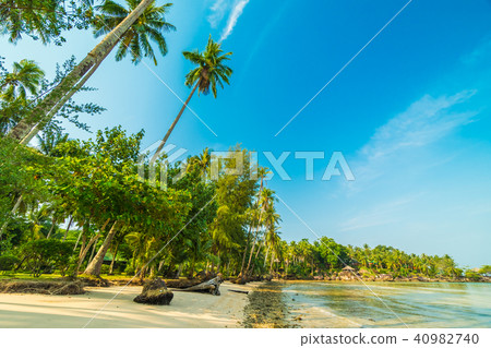 Beautiful paradise island with beach and sea Beautiful paradise island with beach and sea 40982740