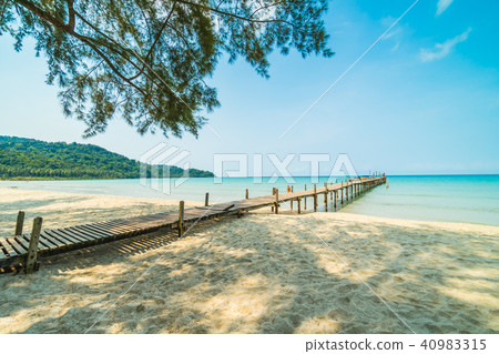 Beautiful tropical beach and sea with coconut palm tree in paradise island 40983315