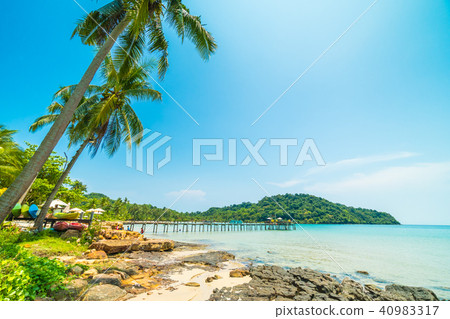 Beautiful tropical beach and sea with coconut palm tree in paradise island Beautiful tropical beach and sea with coconut palm tree in paradise island 40983317