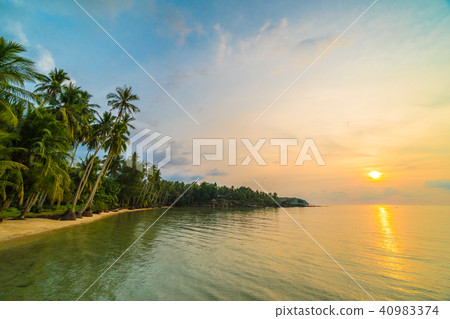 Beautiful paradise island with beach and sea around coconut palm tree 40983374