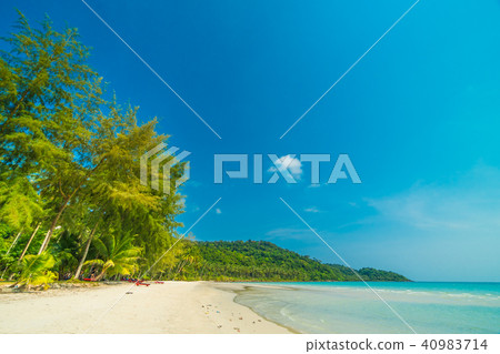 Beautiful nature tropical beach and sea with coconut palm tree on paradise island Beautiful nature tropical beach and sea with coconut palm tree on paradise island 40983714