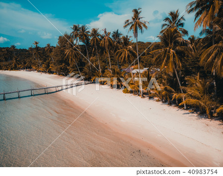 Beautiful nature tropical beach and sea with coconut palm tree on paradise island Beautiful nature tropical beach and sea with coconut palm tree on paradise island 40983754