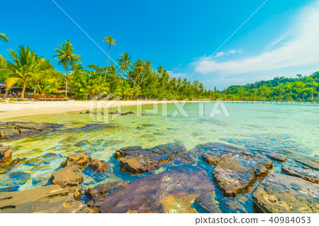 Beautiful tropical beach and sea with coconut palm tree in paradise island Beautiful tropical beach and sea with coconut palm tree in paradise island 40984053