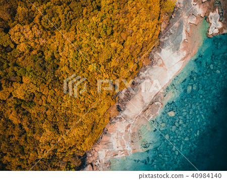 Beautiful nature tropical beach and sea with coconut palm tree on paradise island 40984140