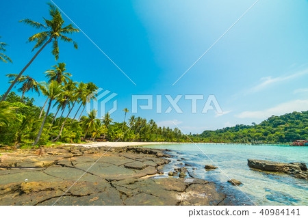 Beautiful tropical beach and sea with coconut palm tree in paradise island 40984141