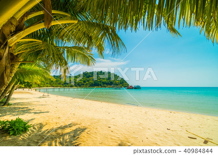 Beautiful tropical beach and sea with coconut palm tree in paradise island Beautiful tropical beach and sea with coconut palm tree in paradise island 40984844