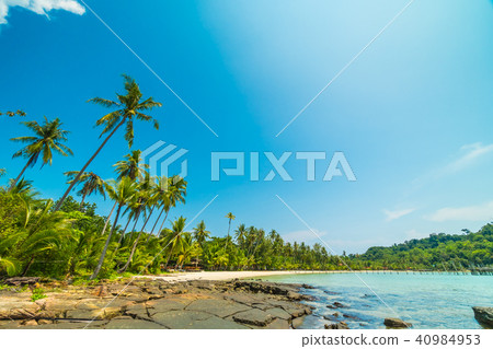 Beautiful tropical beach and sea with coconut palm tree in paradise island Beautiful tropical beach and sea with coconut palm tree in paradise island 40984953