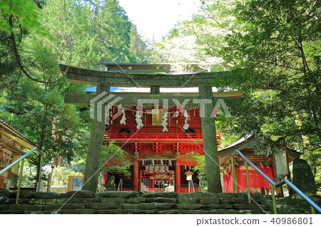 Hanazono Shrine Hanazono Valley Kitaibashiro Hanazono Shrine Hanazono Valley Kitaibashiro 40986801