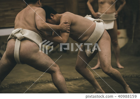 相撲 研修 訓練 40988159