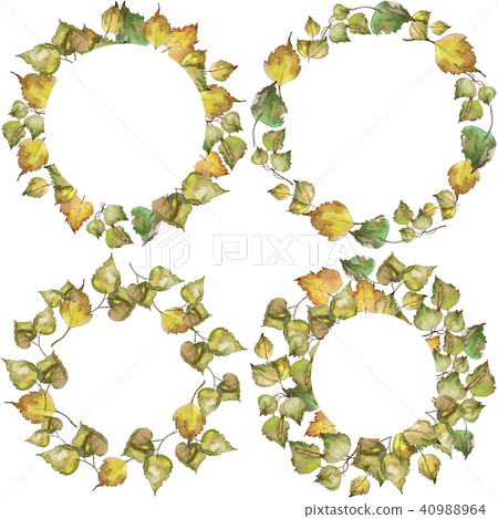 Leaves Birch. Leaf plant botanical garden floral foliage. Frame border ornament square. Leaves Birch. Leaf plant botanical garden floral foliage. Frame border ornament square. 40988964