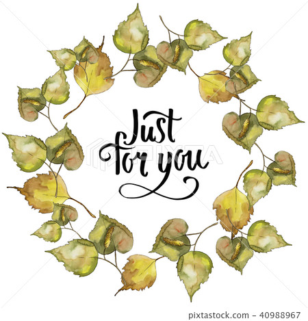 Leaves Birch. Leaf plant botanical garden floral foliage. Frame border ornament square. Leaves Birch. Leaf plant botanical garden floral foliage. Frame border ornament square. 40988967