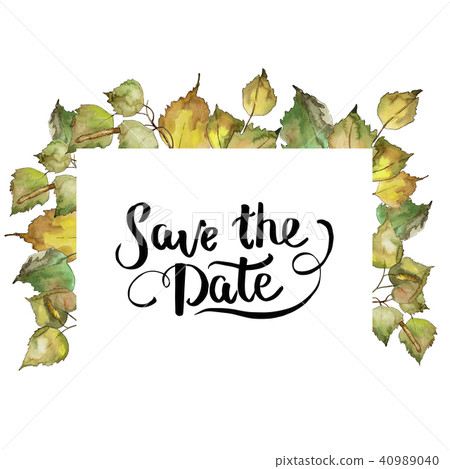 Leaves Birch. Leaf plant botanical garden floral foliage. Frame border ornament square. Leaves Birch. Leaf plant botanical garden floral foliage. Frame border ornament square. 40989040
