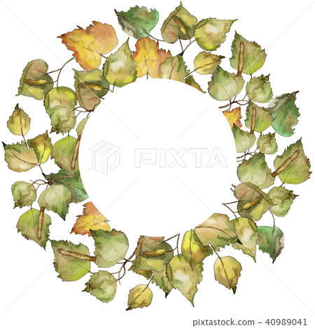 Leaves Birch. Leaf plant botanical garden floral foliage. Frame border ornament square. 40989041