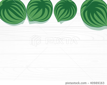 Background illustration Plant Board Information Announcement Menu Background illustration Plant Board Information Announcement Menu 40989163