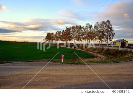 Biei no Oka at dusk 40989341