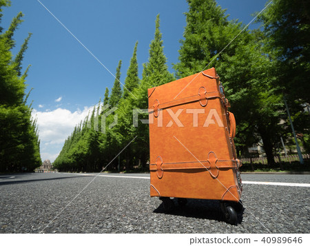 Gingko line tree at Jingu Gaien 40989646