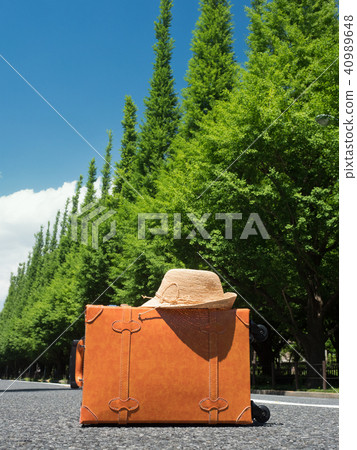 Gingko line tree at Jingu Gaien 40989648