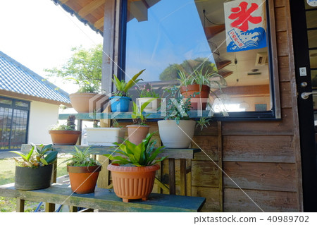 Fukue Island Walking Furusato Hall 2017 Bee Fukue Island Walking Furusato Hall 2017 Bee 40989702
