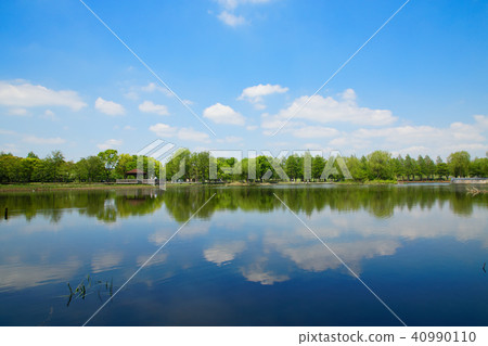 Young leaves of trees of Tinyin Park and fresh green and scenery reflected on the lake surface 40990110