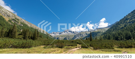 Peak of Care Alto - Adamello Trento Italy Peak of Care Alto - Adamello Trento Italy 40991510