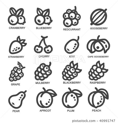 fruit thin line icon 40991747