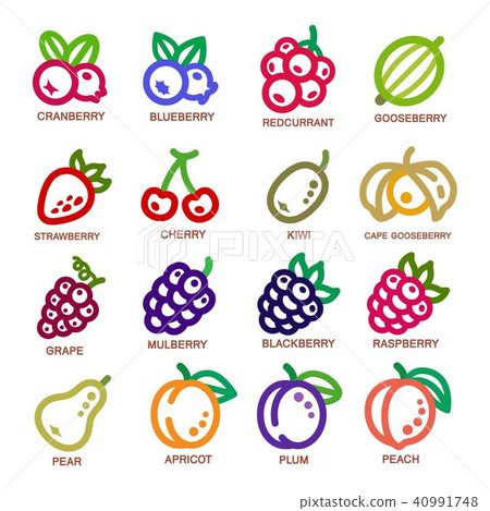 fruit thin line icon 40991748