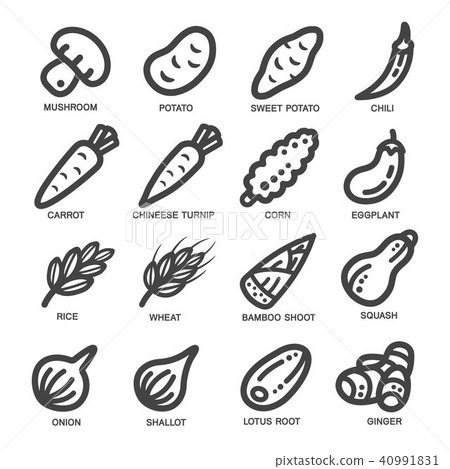 vegetable thin line icon 40991831