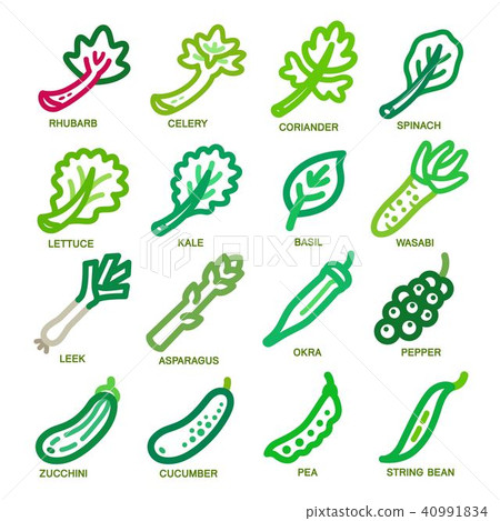 vegetable thin line icon 40991834