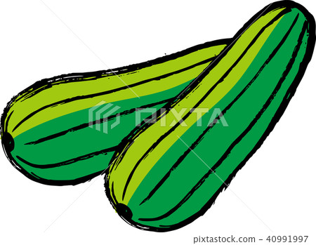 Two Loofers of Okinawa vegetables (Navera) color Two Loofers of Okinawa vegetables (Navera) color 40991997