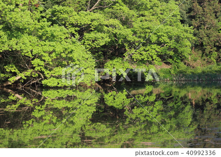 Hill of Hokkaido fishery cliff reflection 40992336